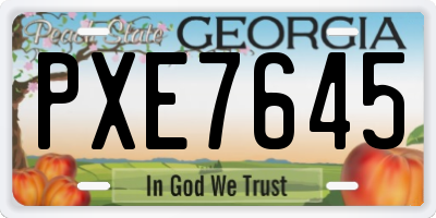 GA license plate PXE7645