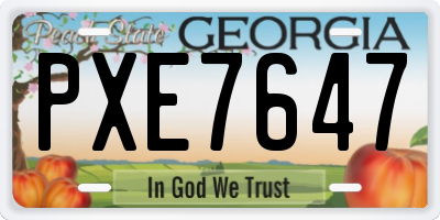 GA license plate PXE7647