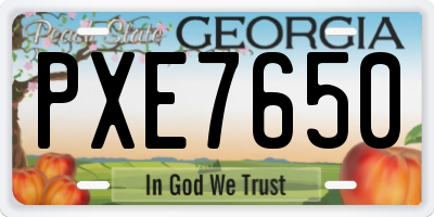 GA license plate PXE7650