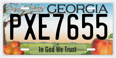 GA license plate PXE7655