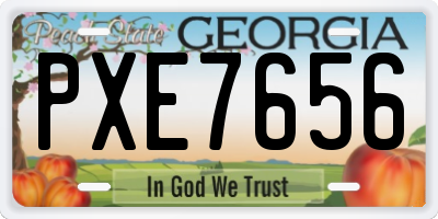 GA license plate PXE7656