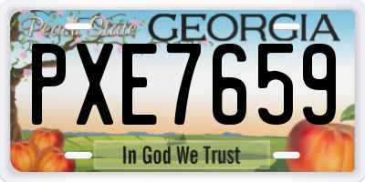 GA license plate PXE7659