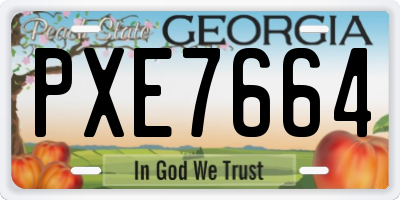 GA license plate PXE7664