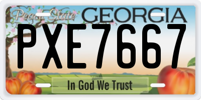GA license plate PXE7667