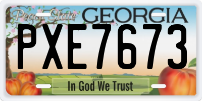 GA license plate PXE7673