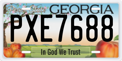 GA license plate PXE7688