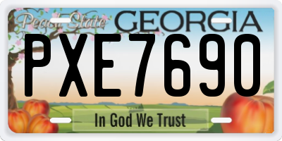 GA license plate PXE7690