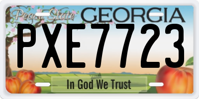 GA license plate PXE7723