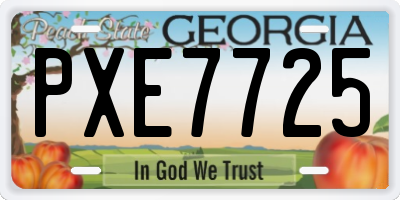 GA license plate PXE7725