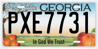 GA license plate PXE7731