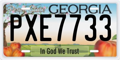 GA license plate PXE7733