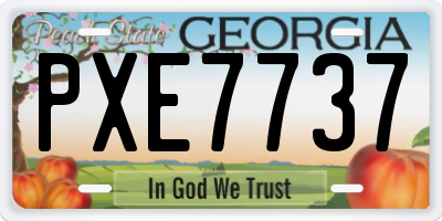 GA license plate PXE7737