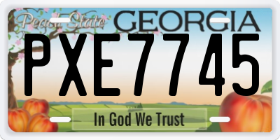 GA license plate PXE7745