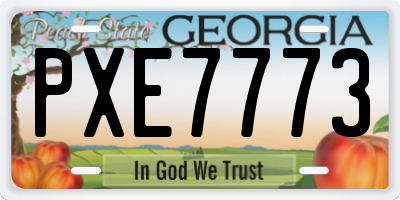 GA license plate PXE7773