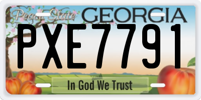 GA license plate PXE7791