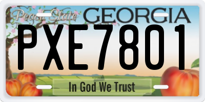 GA license plate PXE7801