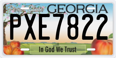GA license plate PXE7822