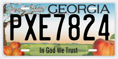GA license plate PXE7824