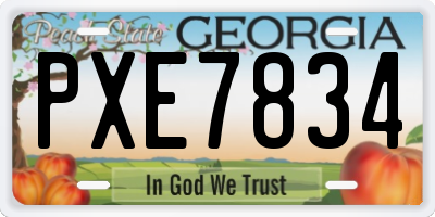 GA license plate PXE7834