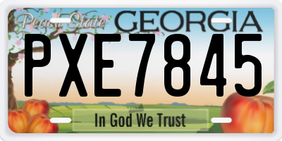 GA license plate PXE7845