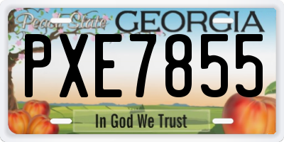 GA license plate PXE7855