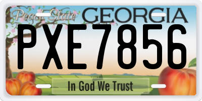 GA license plate PXE7856