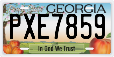 GA license plate PXE7859