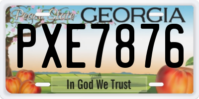 GA license plate PXE7876