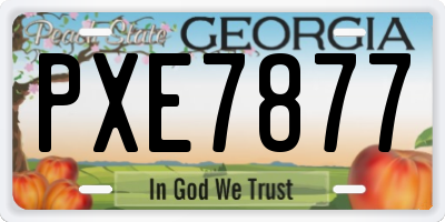 GA license plate PXE7877