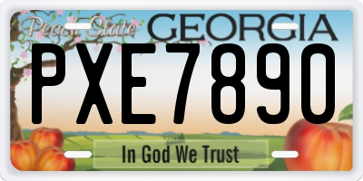 GA license plate PXE7890
