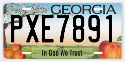GA license plate PXE7891