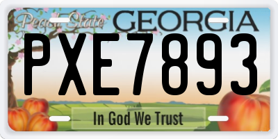 GA license plate PXE7893