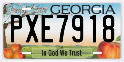 GA license plate PXE7918