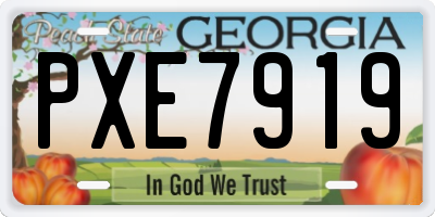 GA license plate PXE7919