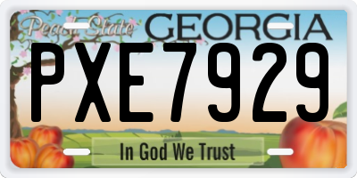 GA license plate PXE7929