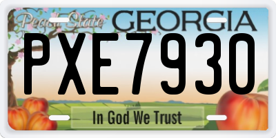 GA license plate PXE7930
