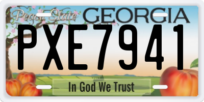 GA license plate PXE7941