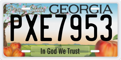 GA license plate PXE7953