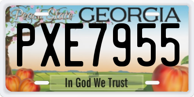 GA license plate PXE7955