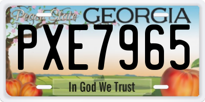 GA license plate PXE7965