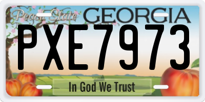 GA license plate PXE7973