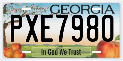 GA license plate PXE7980