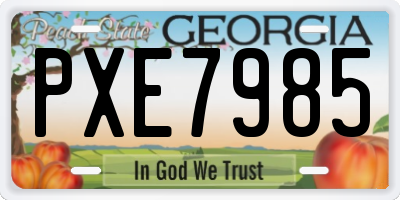 GA license plate PXE7985