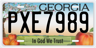 GA license plate PXE7989