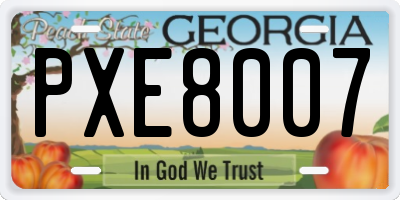 GA license plate PXE8007