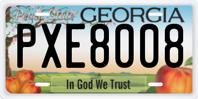 GA license plate PXE8008