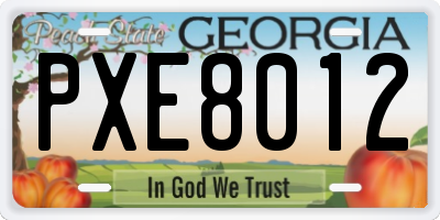 GA license plate PXE8012