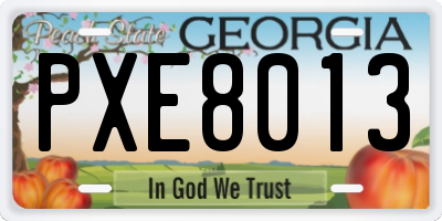 GA license plate PXE8013