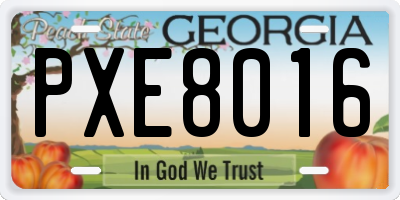 GA license plate PXE8016