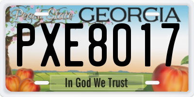 GA license plate PXE8017